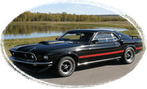 Norm Flanders Mustang